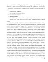 Lietuvos ir Nyderlandų tarpusavio prekyba 13 puslapis