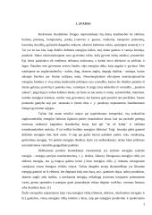 Lietuvos ir Slovakijos energetinių balansų palyginimas 2 puslapis