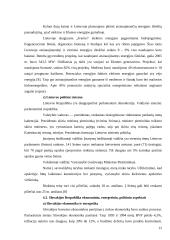 Lietuvos ir Slovakijos energetinių balansų palyginimas 11 puslapis