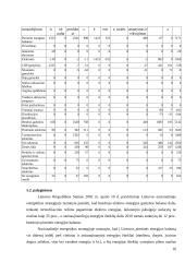 Lietuvos ir Slovakijos energetinių balansų palyginimas 15 puslapis
