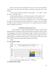Lietuvos ir Slovakijos energetinių balansų palyginimas 17 puslapis