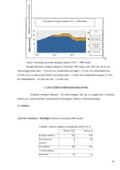 Lietuvos ir Slovakijos energetinių balansų palyginimas 18 puslapis