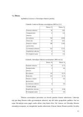 Lietuvos ir Slovakijos energetinių balansų palyginimas 20 puslapis
