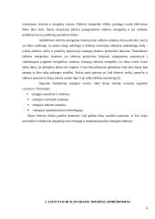 Lietuvos ir Slovakijos energetinių balansų palyginimas 3 puslapis