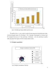 Lietuvos ir Slovakijos energetinių balansų palyginimas 8 puslapis