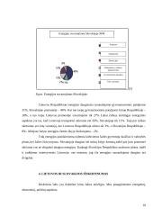 Lietuvos ir Slovakijos energetinių balansų palyginimas 9 puslapis