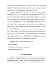 Lietuvos ir Švedijos bendradarbiavimas 5 puslapis