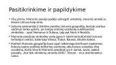 Maironis. Biografija ir kūryba (skaidrės) 13 puslapis