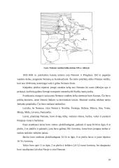 Lietuvos kelių transporto infrastruktūros vystymosi istorinė apžvalga 19 puslapis
