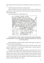 Lietuvos kelių transporto infrastruktūros vystymosi istorinė apžvalga 8 puslapis