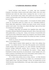 Lietuvos kultūrinis identitetas bei istorija Europos kontekste 11 puslapis