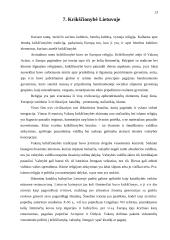 Lietuvos kultūrinis identitetas bei istorija Europos kontekste 13 puslapis