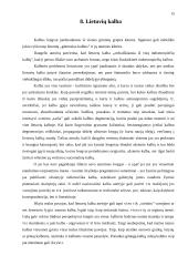 Lietuvos kultūrinis identitetas bei istorija Europos kontekste 15 puslapis