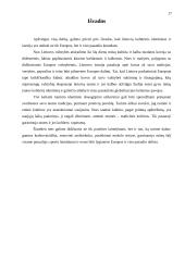 Lietuvos kultūrinis identitetas bei istorija Europos kontekste 17 puslapis