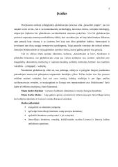 Lietuvos kultūrinis identitetas bei istorija Europos kontekste 3 puslapis