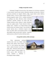 Lietuvos liaudies buities muziejus 12 puslapis