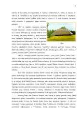 Lietuvos liaudies buities muziejus 4 puslapis