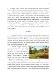 Lietuvos liaudies buities muziejus 7 puslapis