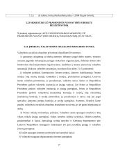 Lietuvos mokesčių sistema 16 puslapis