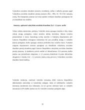Lietuvos mokesčių sistema 19 puslapis