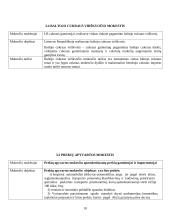Lietuvos mokesčių sistema 9 puslapis