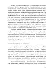 Lietuvos muitų politika integruojantis į Europos Sąjungą (ES) 11 puslapis
