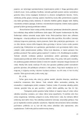 Lietuvos muitų politika integruojantis į Europos Sąjungą (ES) 12 puslapis
