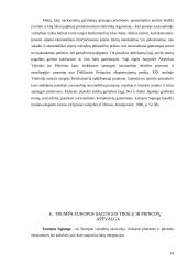Lietuvos muitų politika integruojantis į Europos Sąjungą (ES) 13 puslapis