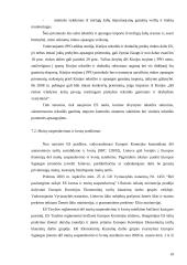 Lietuvos muitų politika integruojantis į Europos Sąjungą (ES) 18 puslapis