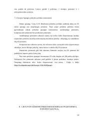 Lietuvos muitų politika integruojantis į Europos Sąjungą (ES) 19 puslapis