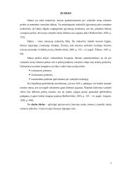 Lietuvos muitų politika integruojantis į Europos Sąjungą (ES) 2 puslapis