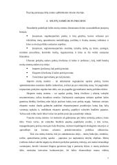 Lietuvos muitų politika integruojantis į Europos Sąjungą (ES) 6 puslapis