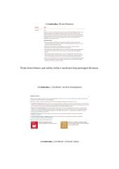 Organizacijų komunikacija ir įvaizdžio formavimas. Užduotis apie patikusį ir nepatikusį įvaizdį 2 puslapis