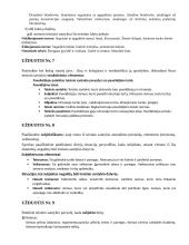 Teisiniai santykiai (teorija) 4 puslapis