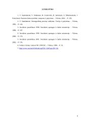 Lietuvos paramos šeimai politikos plėtros patyrimas 9 puslapis