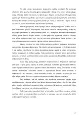 Lietuvos pinigų sistemos pagrindų kūrimas (1990-1993) 17 puslapis