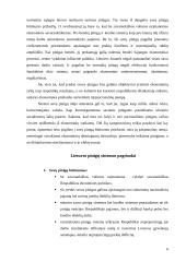 Lietuvos pinigų sistemos pagrindų kūrimas (1990-1993) 6 puslapis