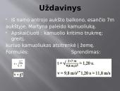 Laisvasis kūnų kritimas (skaidrės) 10 puslapis
