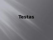 Laisvasis kūnų kritimas (skaidrės) 16 puslapis