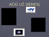 Dinamika. Jėgos gamtoje 17 puslapis