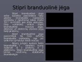 Dinamika. Jėgos gamtoje 8 puslapis