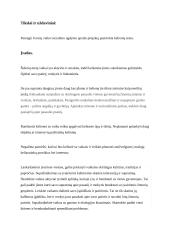 Vaikų socialinio ugdymo projektas. Keliavimas