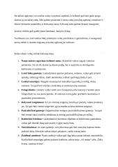 Vaikų socialinio ugdymo projektas. Keliavimas 2 puslapis