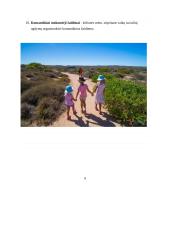 Vaikų socialinio ugdymo projektas. Keliavimas 3 puslapis