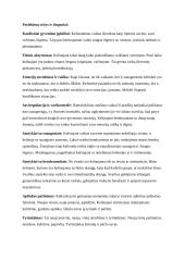 Vaikų socialinio ugdymo projektas. Keliavimas 4 puslapis