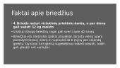 Briedis 3 puslapis