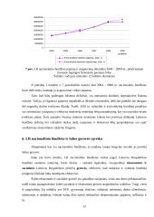 Lietuvos Respublikos (LR) nacionalinio biudžeto poveikis šalies vystymuisi 12 puslapis
