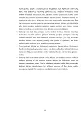 Lietuvos Respublikos (LR) nacionalinio biudžeto poveikis šalies vystymuisi 19 puslapis