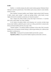 Lietuvos Respublikos (LR) nacionalinio biudžeto poveikis šalies vystymuisi 3 puslapis