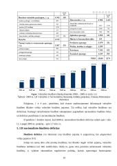 Lietuvos Respublikos (LR) nacionalinio biudžeto poveikis šalies vystymuisi 10 puslapis
